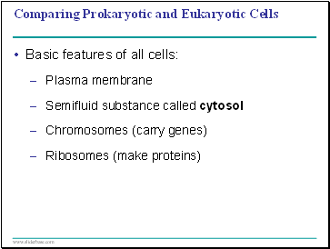 Comparing Prokaryotic and Eukaryotic Cells