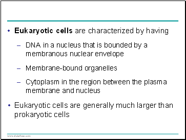 Eukaryotic cells are characterized by having