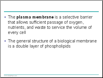 The plasma membrane is a selective barrier that allows sufficient passage of oxygen, nutrients, and waste to service the volume of every cell
