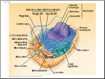 Fig. 6-9a