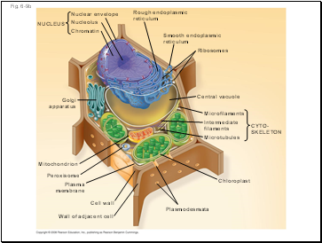 Fig. 6-9b