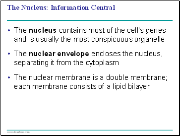 The Nucleus: Information Central