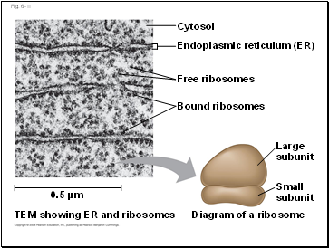 Fig. 6-11