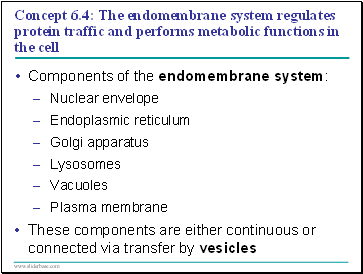 Concept 6.4: The endomembrane system regulates protein traffic and performs metabolic functions in the cell