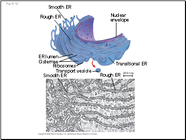 Fig. 6-12