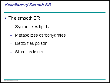 Functions of Smooth ER