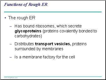 Functions of Rough ER