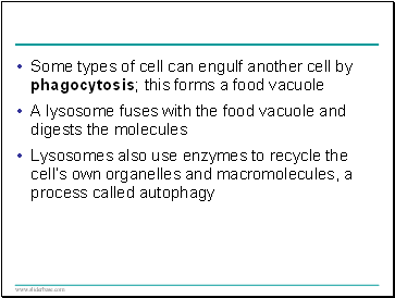 Some types of cell can engulf another cell by phagocytosis; this forms a food vacuole
