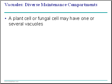 Vacuoles: Diverse Maintenance Compartments