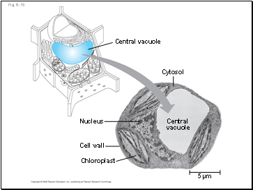 Fig. 6-15