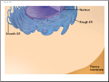 Fig. 6-16-1