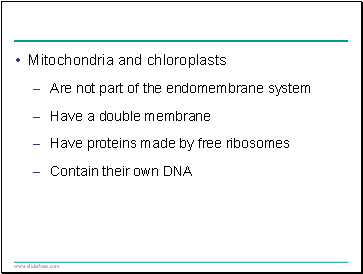 Mitochondria and chloroplasts