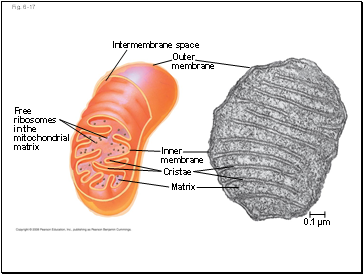 Fig. 6-17