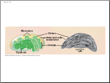 Fig. 6-18