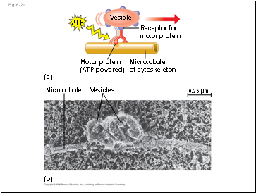 Fig. 6-21