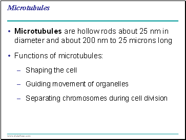 Microtubules