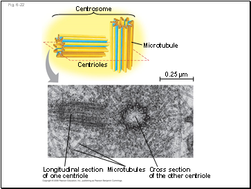 Fig. 6-22