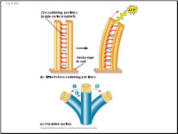 Fig. 6-25b