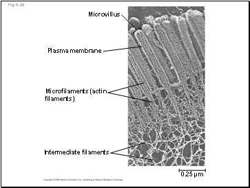 Fig. 6-26