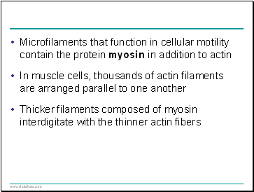 Microfilaments that function in cellular motility contain the protein myosin in addition to actin