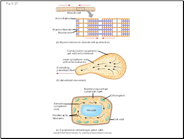 Fig. 6-27