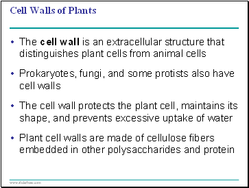 Cell Walls of Plants