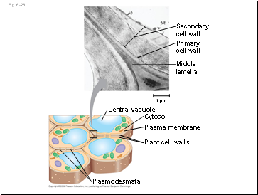 Fig. 6-28