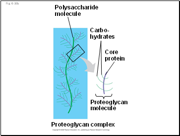 Fig. 6-30b