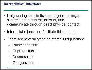 Intercellular Junctions