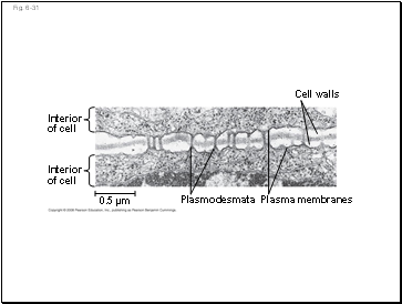 Fig. 6-31