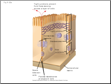 Fig. 6-32a