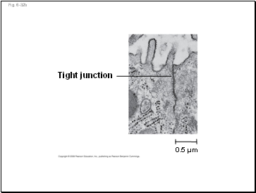 Fig. 6-32b