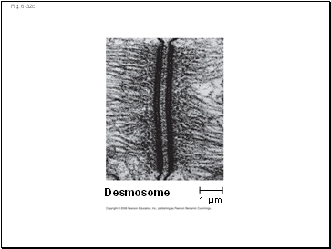 Fig. 6-32c