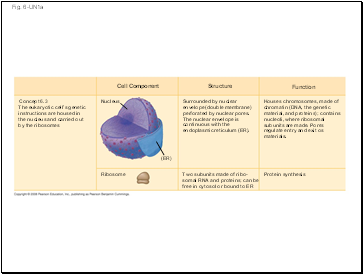 Fig. 6-UN1a