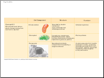 Fig. 6-UN1c