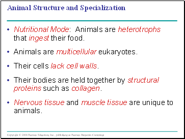 Animal Structure and Specialization