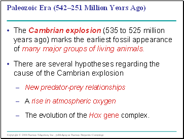 Paleozoic Era (542251 Million Years Ago)