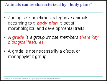 Animals can be characterized by body plans