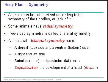 Body Plan -- Symmetry