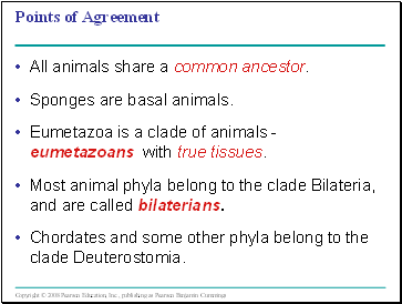 Points of Agreement