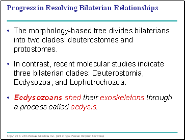 Progress in Resolving Bilaterian Relationships