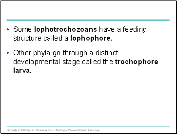 Some lophotrochozoans have a feeding structure called a lophophore.