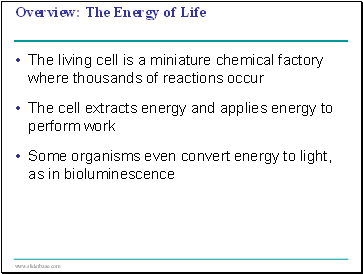 The Energy of Life