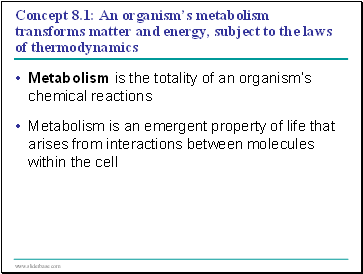 Concept 8.1: An organisms metabolism transforms matter and energy, subject to the laws of thermodynamics