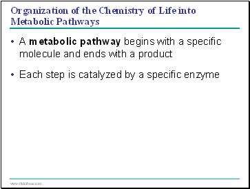 Organization of the Chemistry of Life into Metabolic Pathways