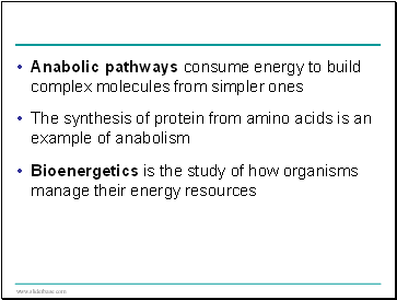 Anabolic pathways consume energy to build complex molecules from simpler ones
