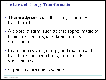 The Laws of Energy Transformation