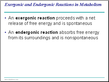 Exergonic and Endergonic Reactions in Metabolism