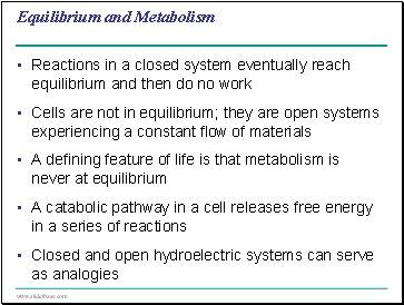 Equilibrium and Metabolism
