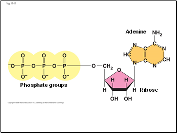 Fig. 8-8